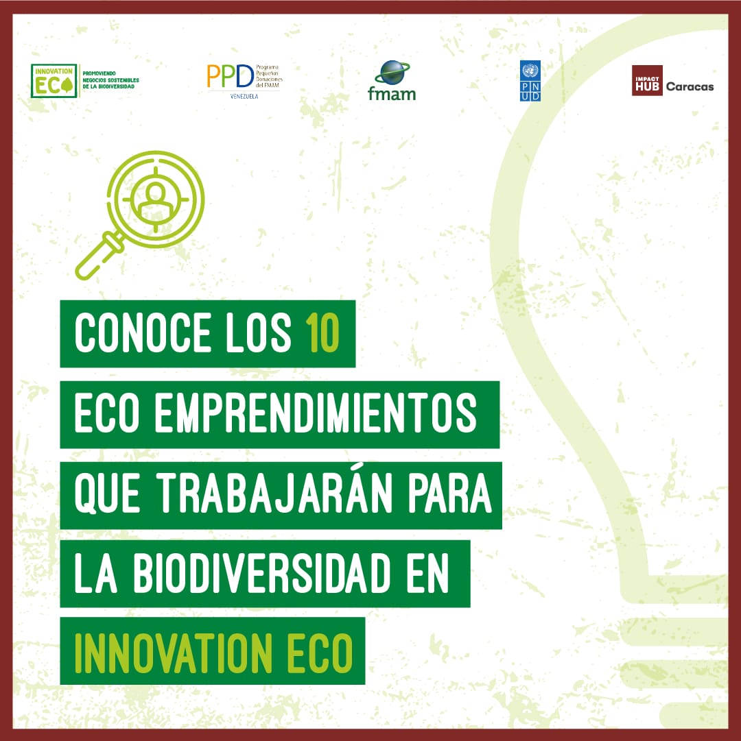 Estos son los 10 Eco-emprendimientos que trabajarán para la biodiversidad en #InnovationEco.